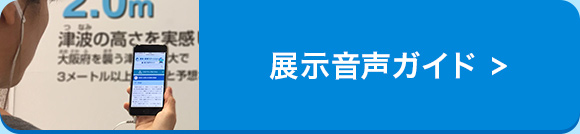 展示ガイダンスを見る